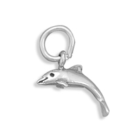 Small Dolphin Charm