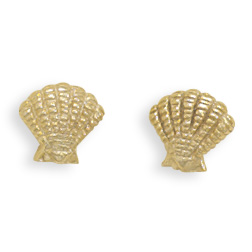 Gold Plated Clam Shell Stud Earrings