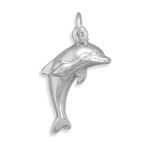 Dolphin Charm